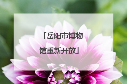 岳阳市博物馆重新开放