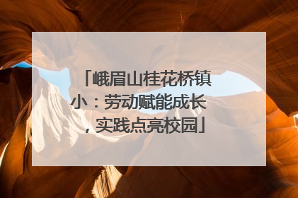 峨眉山桂花桥镇小：劳动赋能成长，实践点亮校园