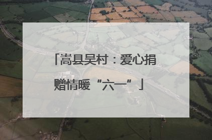 嵩县吴村：爱心捐赠情暖“六一”