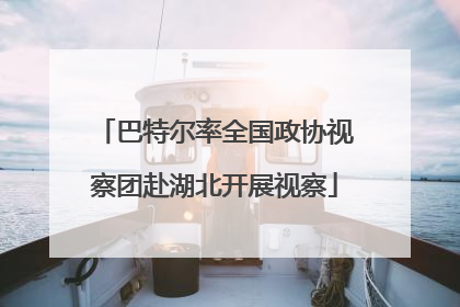 巴特尔率全国政协视察团赴湖北开展视察