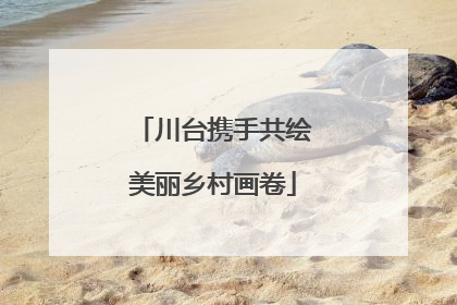 川台携手共绘美丽乡村画卷