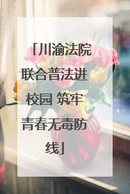 川渝法院联合普法进校园 筑牢青春无毒防线