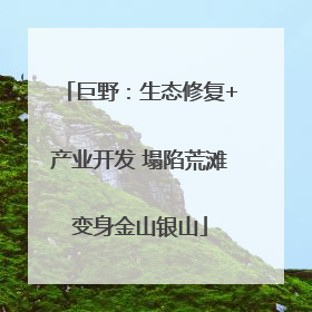 巨野：生态修复+产业开发 塌陷荒滩变身金山银山