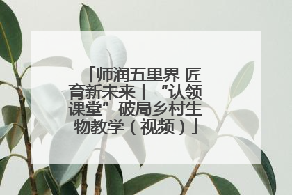 师润五里界 匠育新未来丨“认领课堂”破局乡村生物教学（视频）