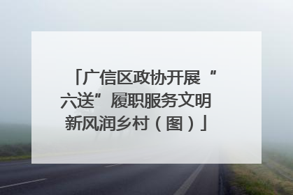 广信区政协开展“六送”履职服务文明新风润乡村（图）