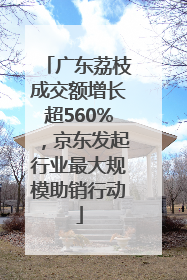 广东荔枝成交额增长超560%，京东发起行业最大规模助销行动