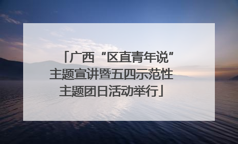 广西“区直青年说”主题宣讲暨五四示范性主题团日活动举行