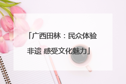 广西田林：民众体验非遗 感受文化魅力