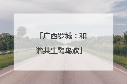 广西罗城：和谐共生鹭鸟欢