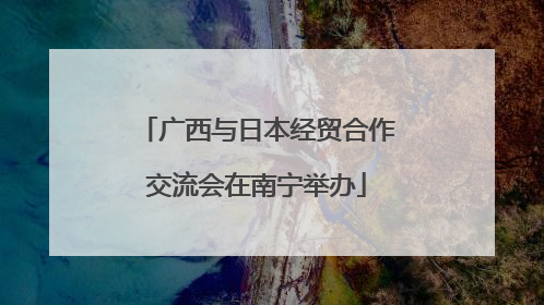 广西与日本经贸合作交流会在南宁举办