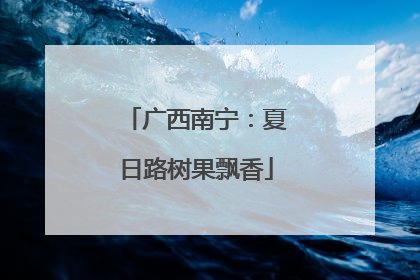 广西南宁：夏日路树果飘香
