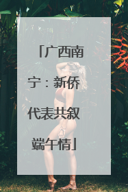广西南宁：新侨代表共叙端午情