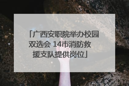 广西安职院举办校园双选会 14市消防救援支队提供岗位