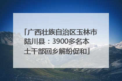 广西壮族自治区玉林市陆川县：3900多名本土干部回乡解纷促和