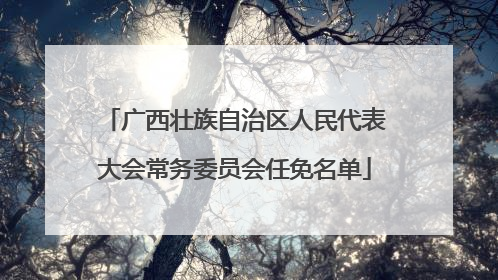 广西壮族自治区人民代表大会常务委员会任免名单