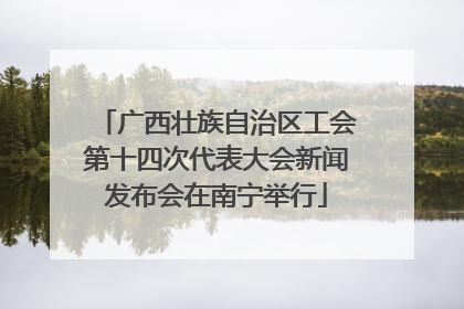 广西壮族自治区工会第十四次代表大会新闻发布会在南宁举行