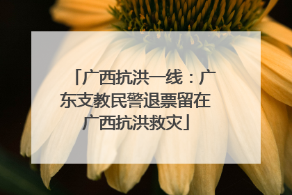 广西抗洪一线：广东支教民警退票留在广西抗洪救灾