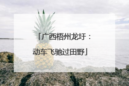 广西梧州龙圩：动车飞驰过田野