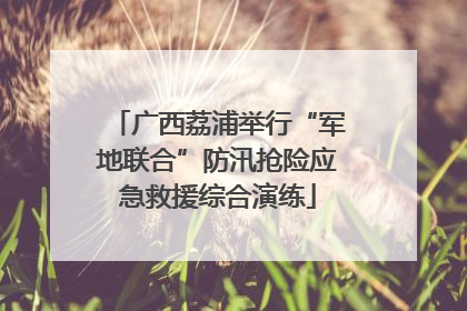广西荔浦举行“军地联合”防汛抢险应急救援综合演练
