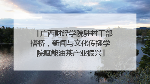 广西财经学院驻村干部搭桥，新闻与文化传播学院赋能油茶产业振兴