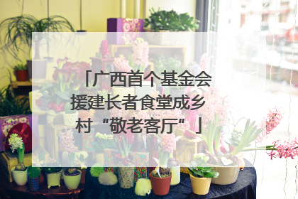 广西首个基金会援建长者食堂成乡村“敬老客厅”