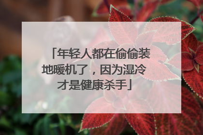 年轻人都在偷偷装地暖机了，因为湿冷才是健康杀手
