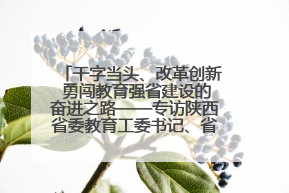 干字当头、改革创新 勇闯教育强省建设的奋进之路——专访陕西省委教育工委书记、省教育厅厅长王树声