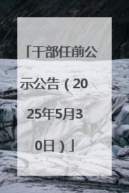 干部任前公示公告（2025年5月30日）