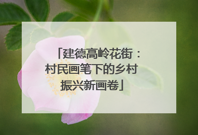 建德高岭花街：村民画笔下的乡村振兴新画卷