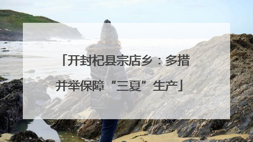 开封杞县宗店乡：多措并举保障“三夏”生产