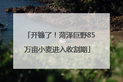 开镰了！菏泽巨野85万亩小麦进入收割期