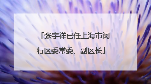 张宇祥已任上海市闵行区委常委、副区长