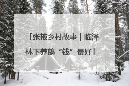 张掖乡村故事｜临泽林下养鹅“钱”景好