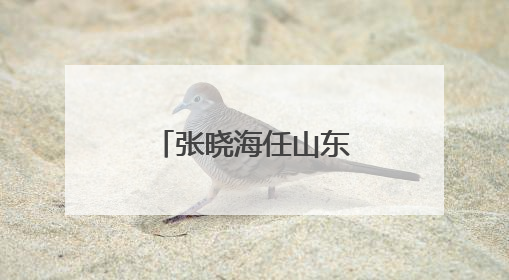 张晓海任山东黄金集团有限公司董事长