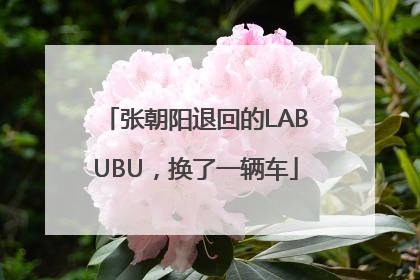 张朝阳退回的LABUBU，换了一辆车