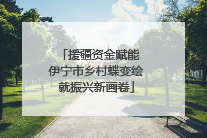 援疆资金赋能 伊宁市乡村蝶变绘就振兴新画卷