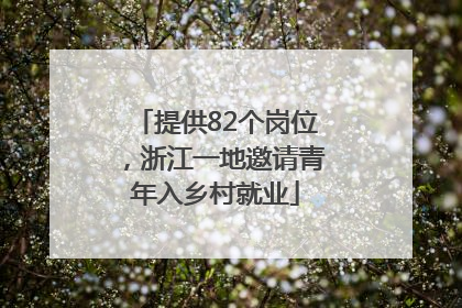 提供82个岗位，浙江一地邀请青年入乡村就业
