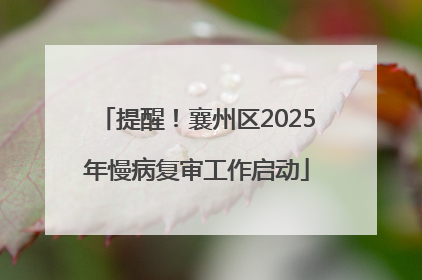 提醒！襄州区2025年慢病复审工作启动