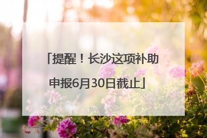提醒！长沙这项补助申报6月30日截止