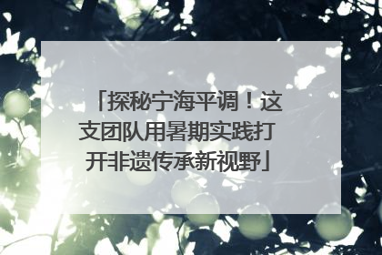 探秘宁海平调！这支团队用暑期实践打开非遗传承新视野