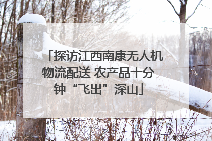 探访江西南康无人机物流配送 农产品十分钟“飞出”深山
