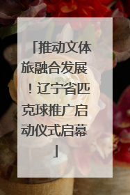 推动文体旅融合发展！辽宁省匹克球推广启动仪式启幕