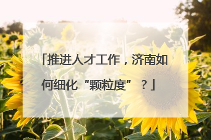 推进人才工作，济南如何细化“颗粒度”？