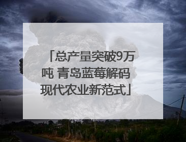 总产量突破9万吨 青岛蓝莓解码现代农业新范式