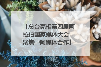 总台亮相第四届阿拉伯国家媒体大会 聚焦中阿媒体合作