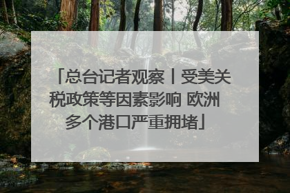 总台记者观察丨受美关税政策等因素影响 欧洲多个港口严重拥堵