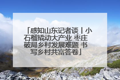 感知山东记者谈丨小石榴撬动大产业 枣庄破局乡村发展难题 书写乡村共富答卷