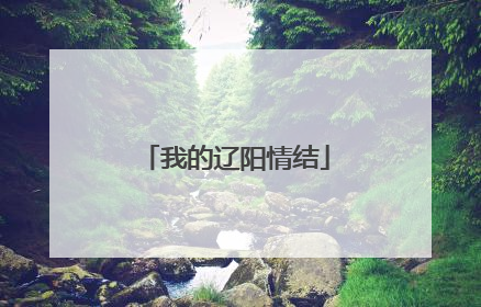 我的辽阳情结