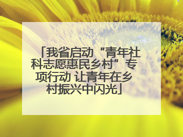 我省启动“青年社科志愿惠民乡村”专项行动 让青年在乡村振兴中闪光