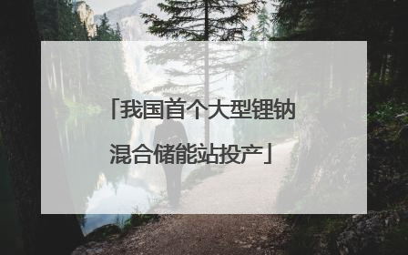 我国首个大型锂钠混合储能站投产